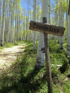 Trapper Loop Trail